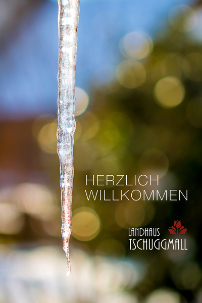 haus_tschuggmall_2013_IMG_7891_text